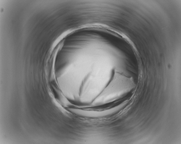 X0000086041054200704202006