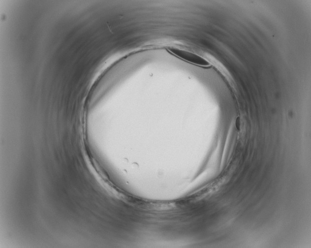 X0000086041055200704202006