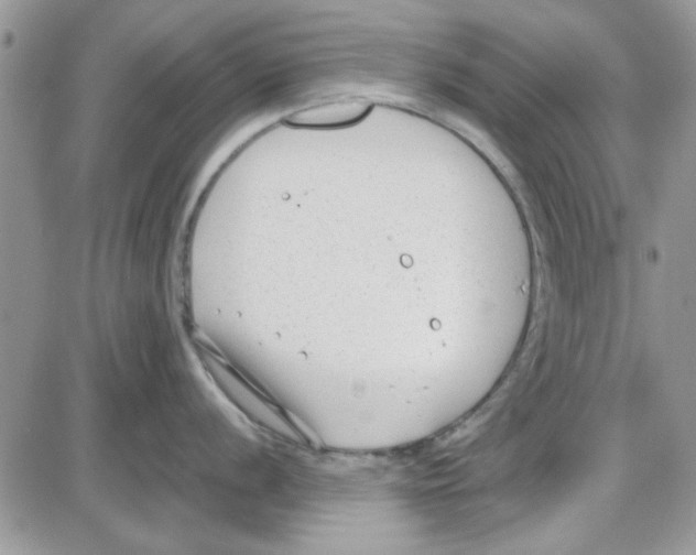 X0000086041056200704202006