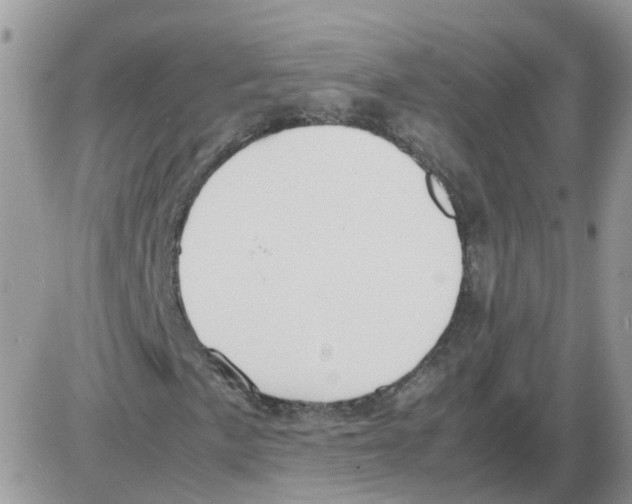 X0000086041057200704202005