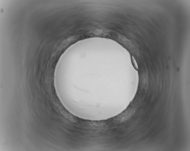 X0000086041105200704202004