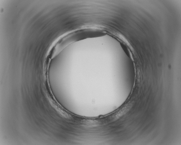 X0000086041124200704202004