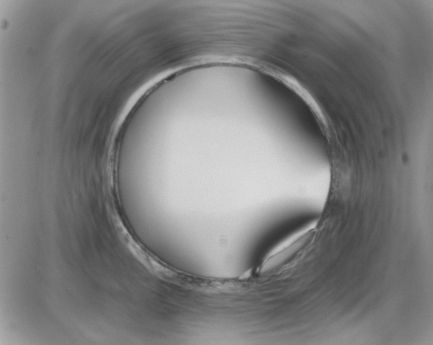 X0000086041148200704202005