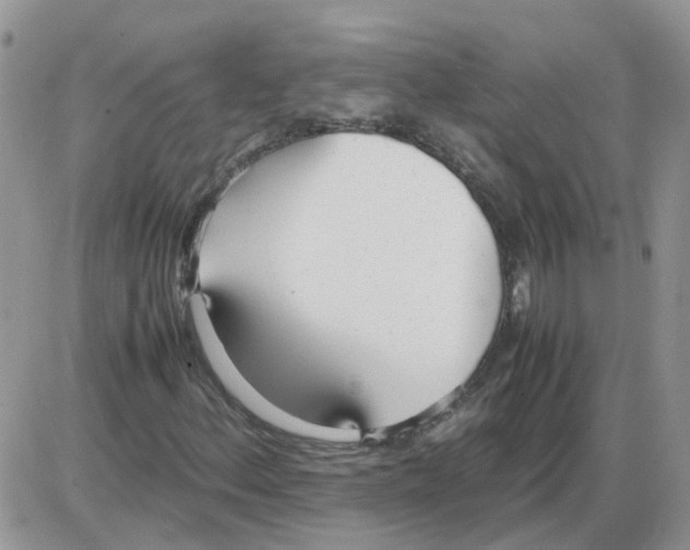X0000086041156200704202004