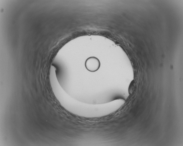X0000086041157200704202004