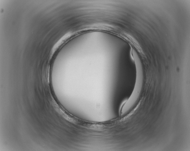 X0000086041180200704202003