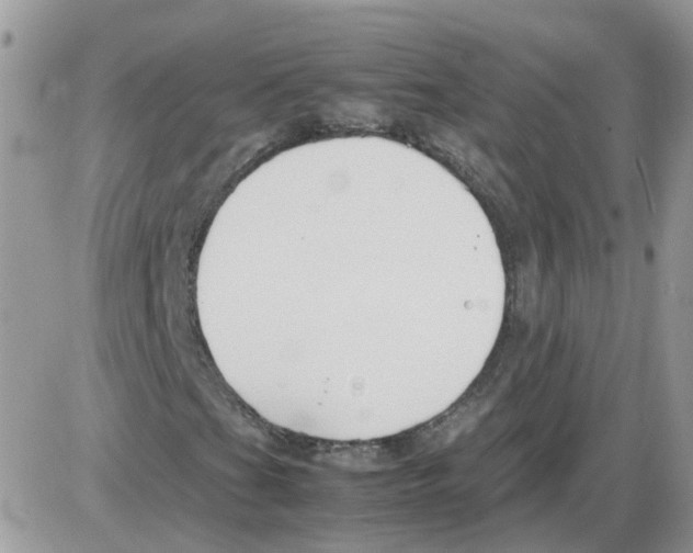 X0000086041201200704202002