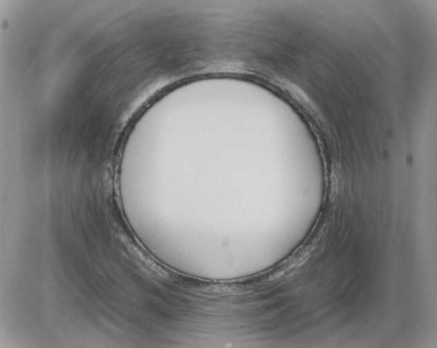 X0000086041212200704202002