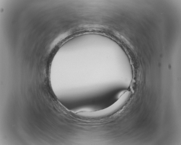 X0000086041261200704202002