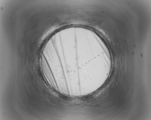 X0000086041263200704202002