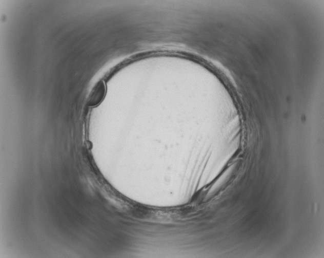 X0000086041271200704202002