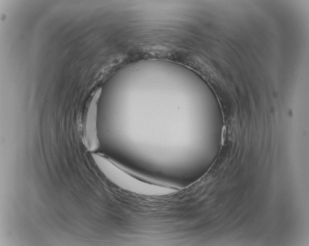 X0000086041298200704202001