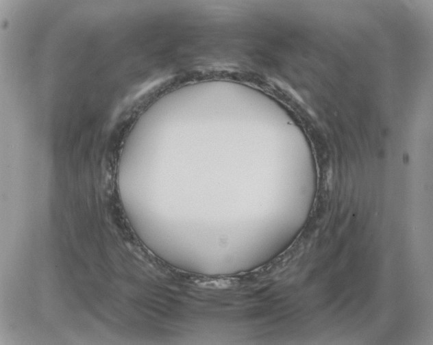 X0000086041303200704202001