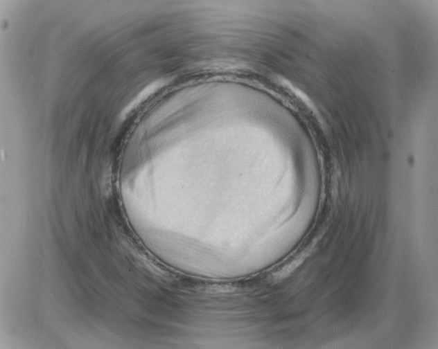 X0000086041306200704202001