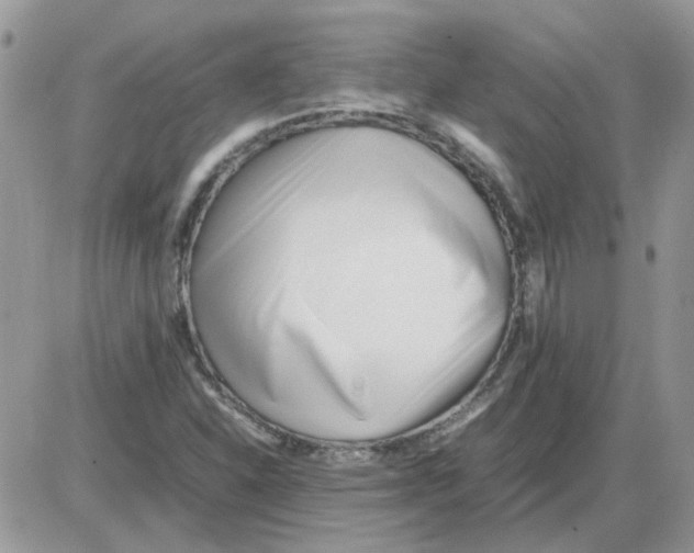 X0000086041310200704202001