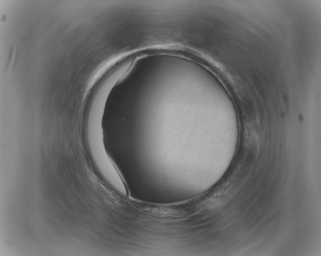 X0000086041319200704202001
