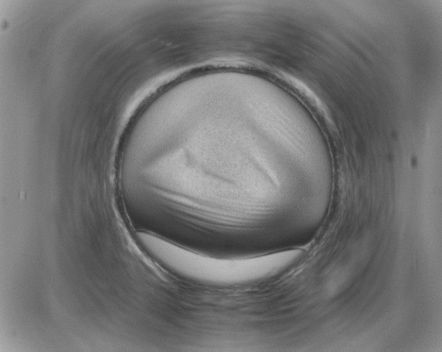 X0000086041327200704202001