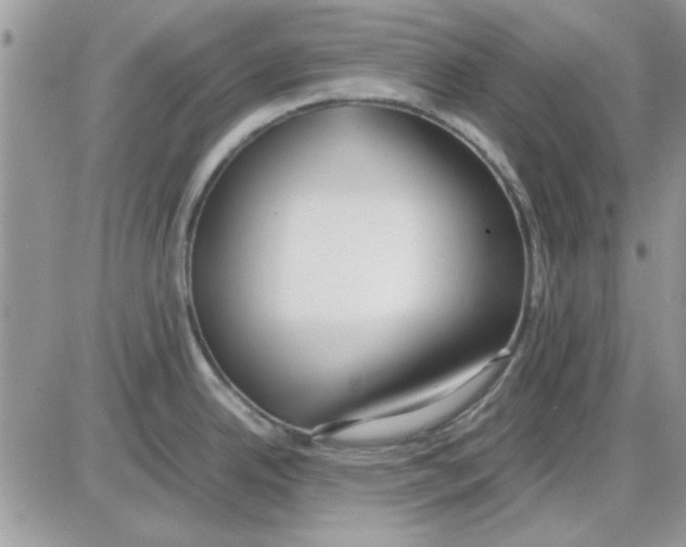 X0000086041342200704202001