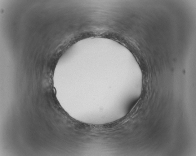 X0000086041349200704202001