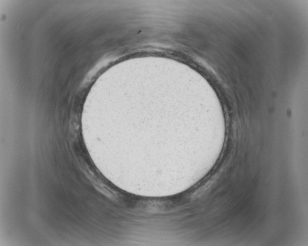 X0000086041355200704202001