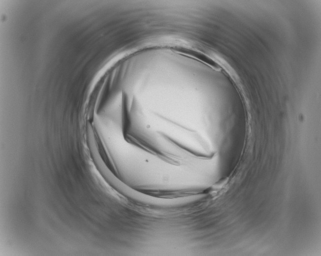 X0000086041392200704202000