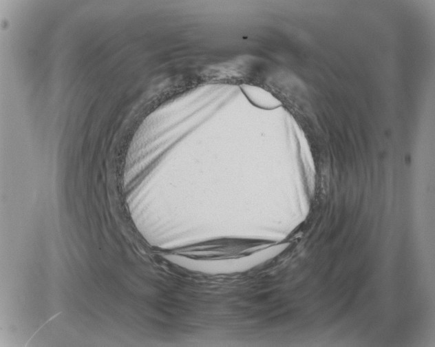 X0000086041393200704201959