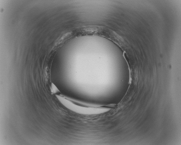 X0000086041394200704201959