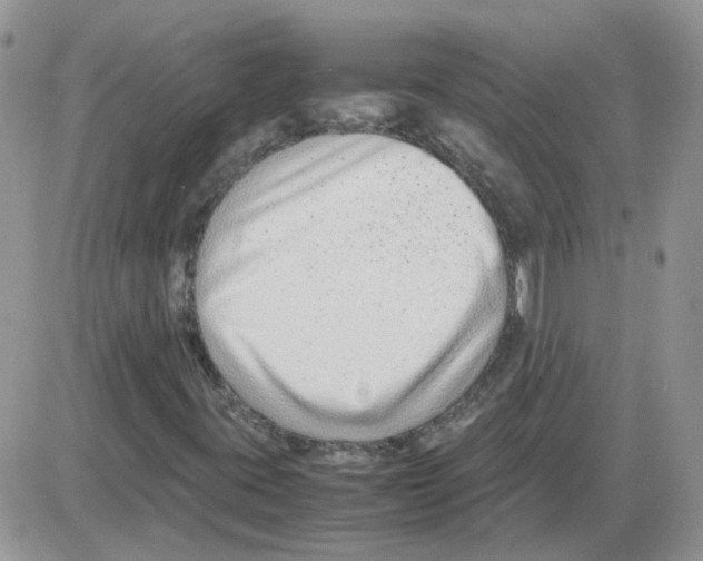 X0000086041395200704201959