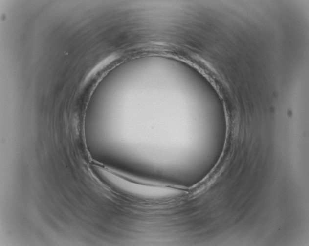 X0000086041402200704201959
