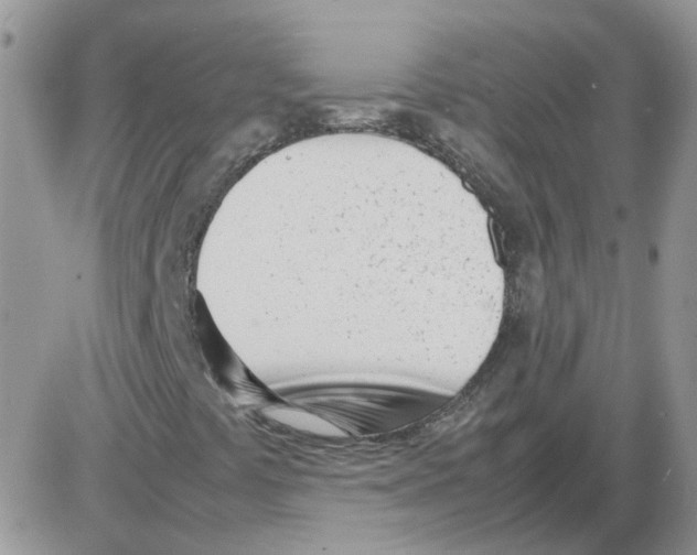 X0000086041441200704201959