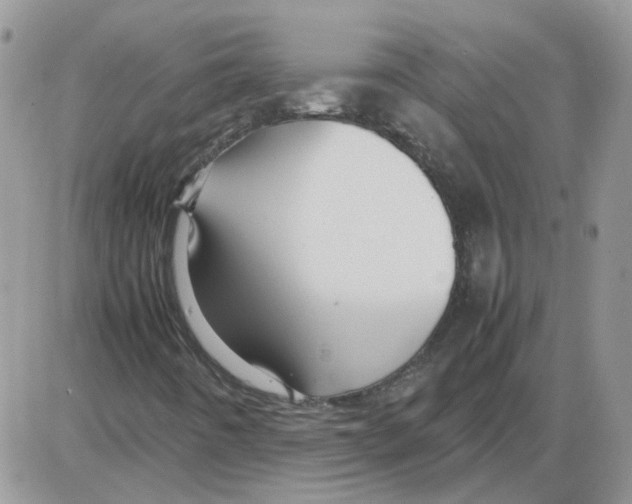 X0000086041442200704201959