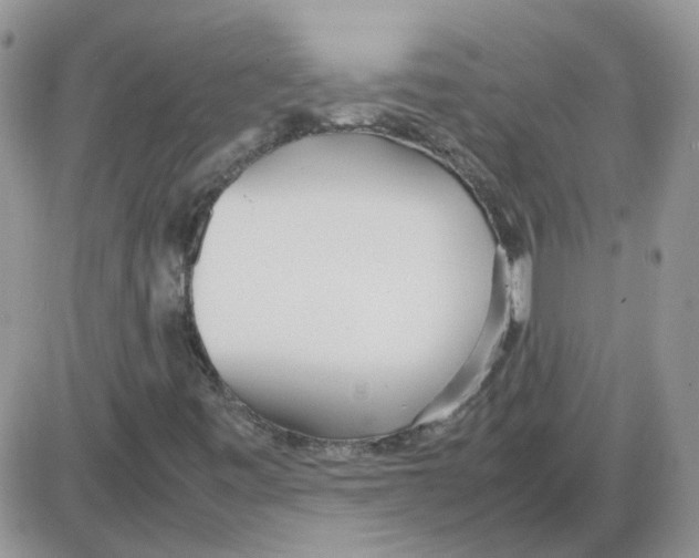 X0000086041443200704201959