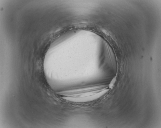 X0000086041445200704201959