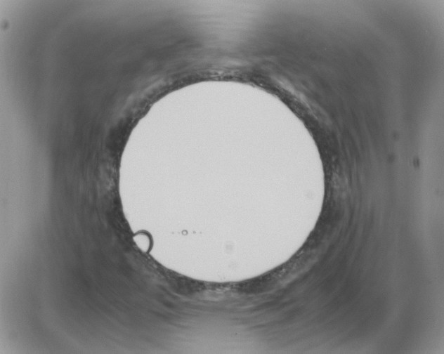 X0000086041447200704201959
