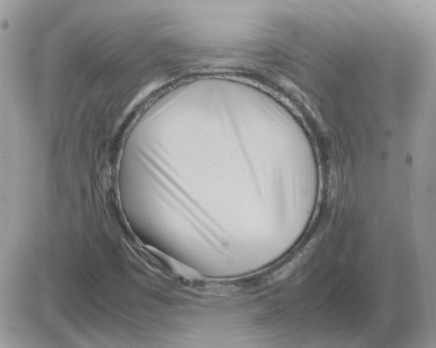 X0000086041449200704201959