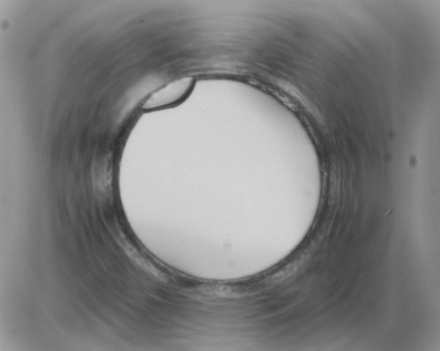 X0000086041450200704201959