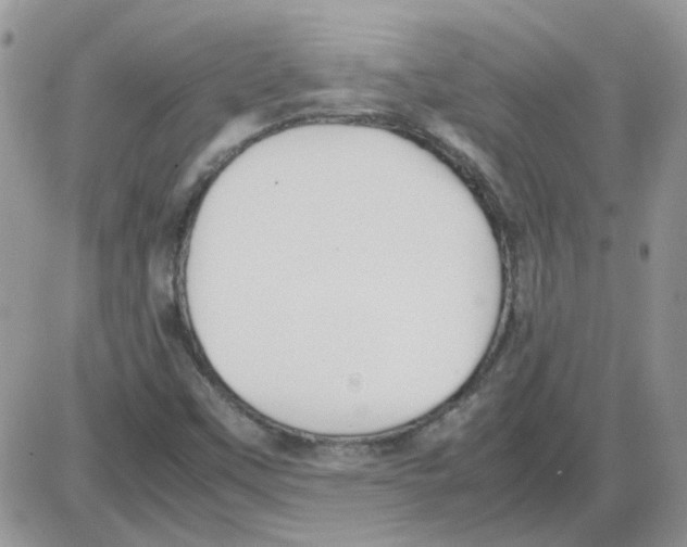 X0000086041451200704201959
