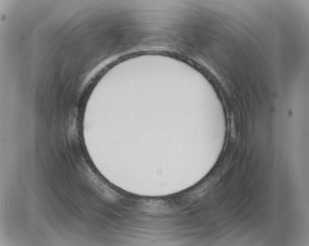 X0000086041452200704201959