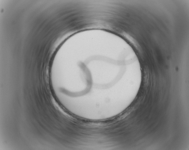 X0000086041468200704201959