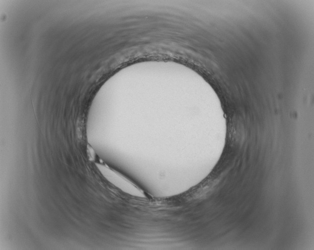 X0000086041490200704201958