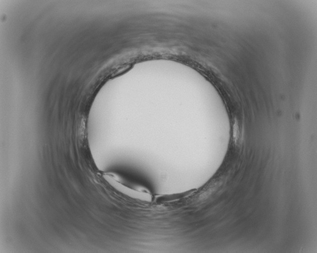X0000086041492200704201958