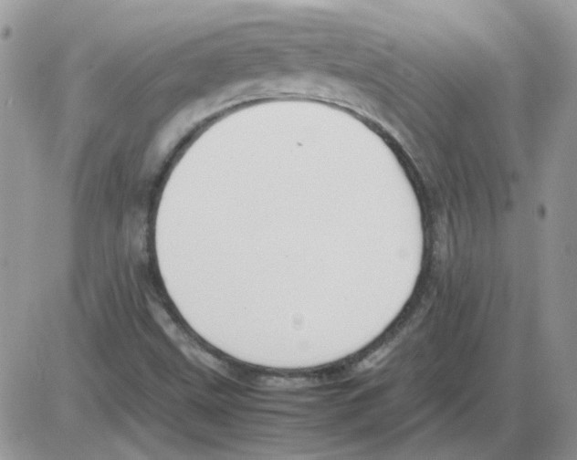X0000086041499200704201958