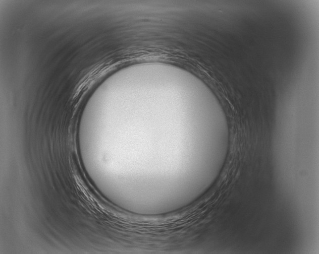 X0000086050002200703230933