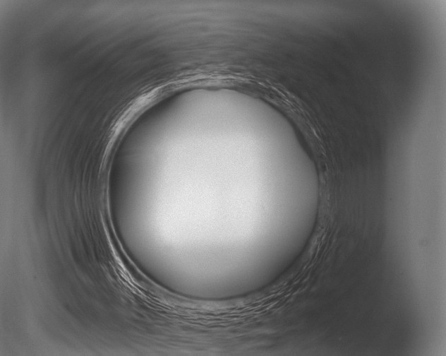 X0000086050003200703230933