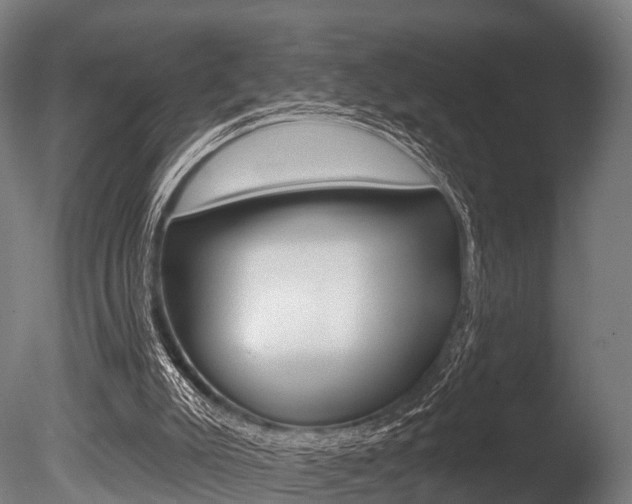 X0000086050007200703230933