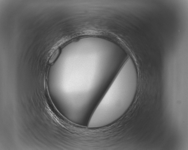 X0000086050011200703230933