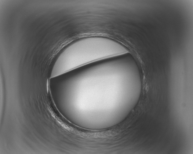X0000086050013200703230933