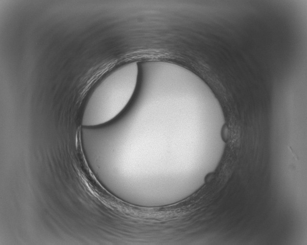 X0000086050014200703230933
