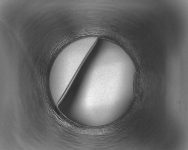 X0000086050017200703230932