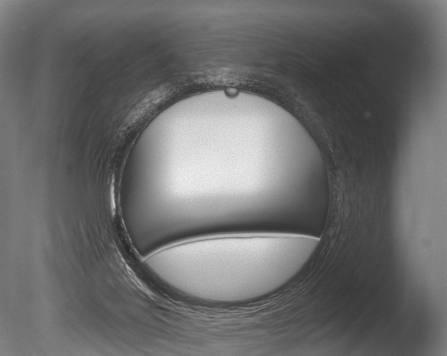 X0000086050020200703230932